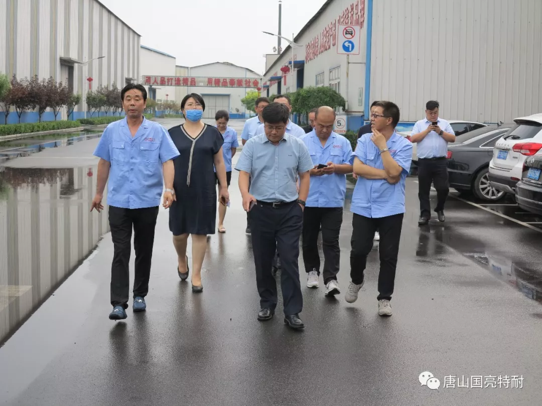 卢根发副市长一行到国亮公司调研 卢根发副市长一行到国亮公司调研