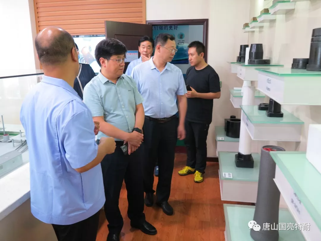卢根发副市长一行到国亮公司调研 卢根发副市长一行到国亮公司调研
